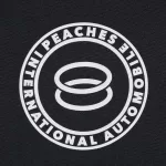 Uniqlo Hypebeast Community Center Ut Printed Coach Men’s Jackets Black