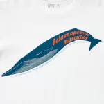 Uniqlo National Museum Tokyo Ut Printed Kids White T-Shirt