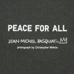 Uniqlo Peace For All Ut Printed T-Shirt (Jean-michel Basquiat And Christopher Makos) Women’s Dark Grey