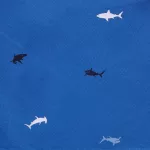 Uniqlo Stretch Printed Easy Shorts Boys Blue